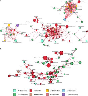 Mucosa-Associated Microbiota in Gastric Cancer Tissues Compared With Non-cancer Tissues